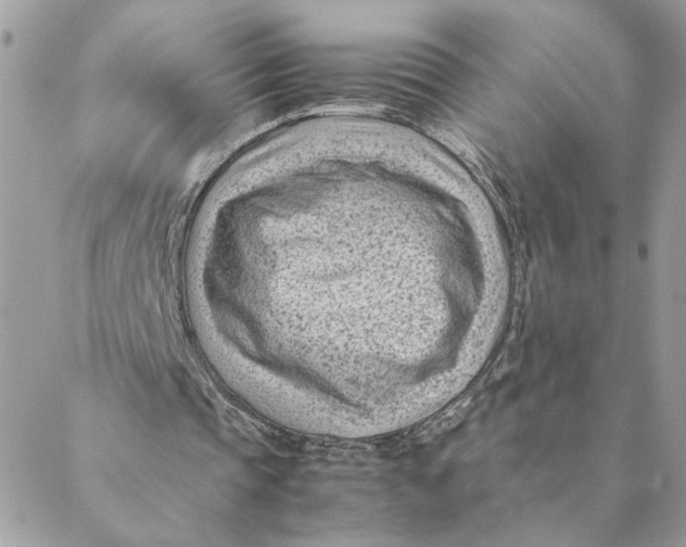 X0000088580337200706151717