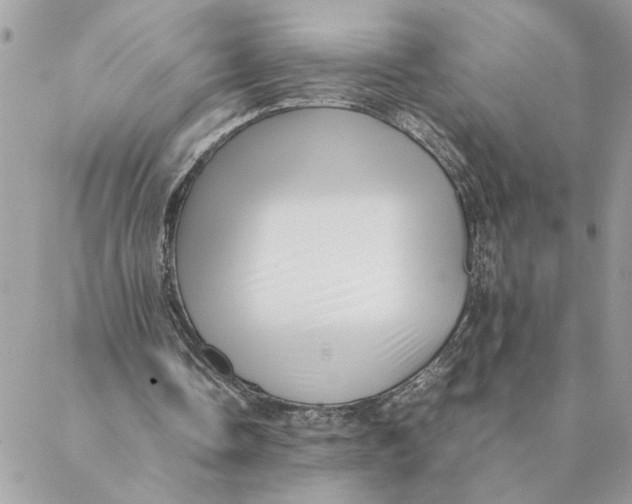 X0000088580338200706151717