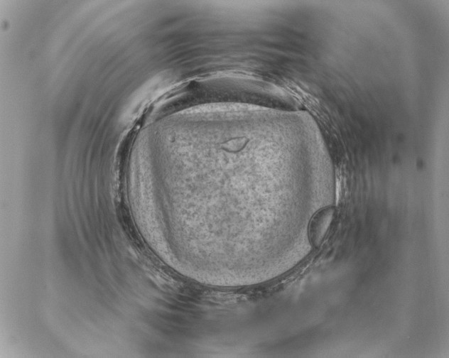 X0000088580339200706151717