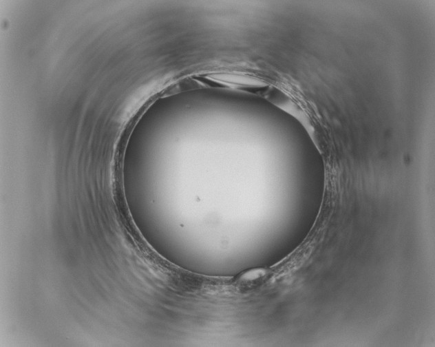 X0000088580340200706151717