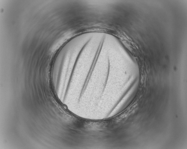 X0000088580341200706151717