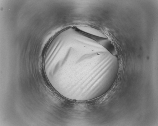 X0000088580342200706151717