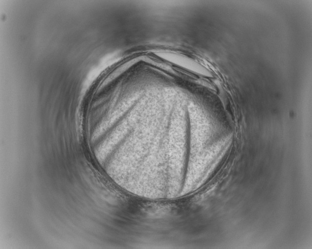 X0000088580343200706151717