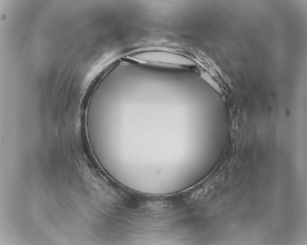 X0000088580344200706151717