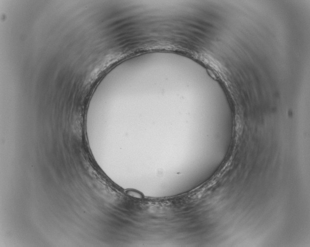 X0000088580345200706151717