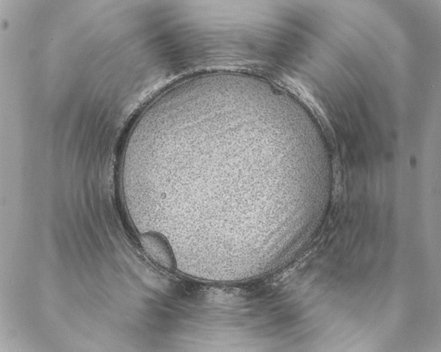 X0000088580346200706151717