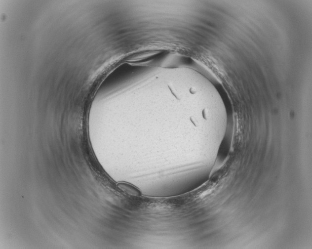 X0000088580348200706151717