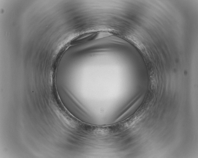 X0000088580350200706151717