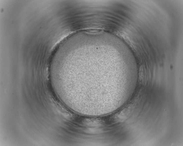 X0000088580351200706151717