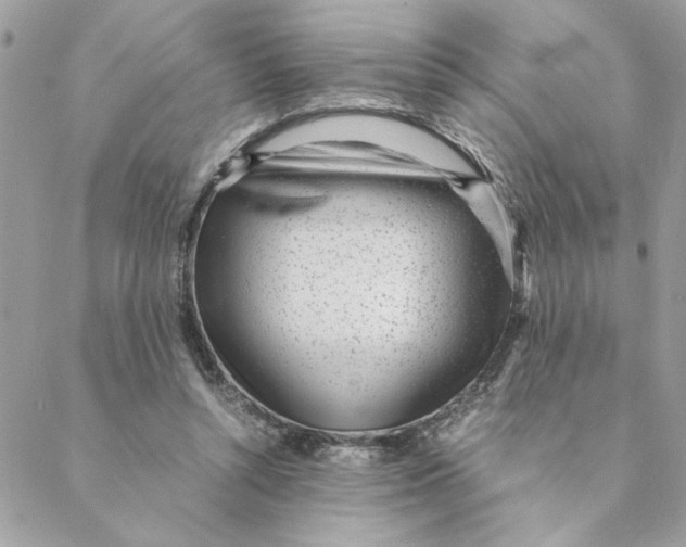 X0000088580352200706151717