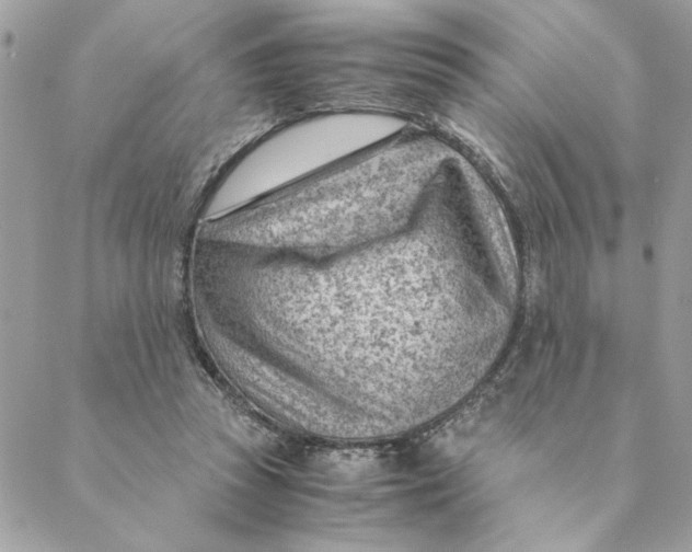 X0000088580353200706151717