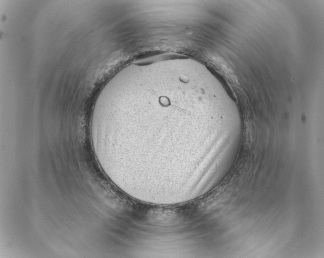 X0000088580354200706151717