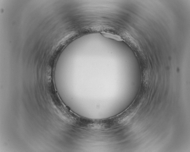 X0000088580356200706151717