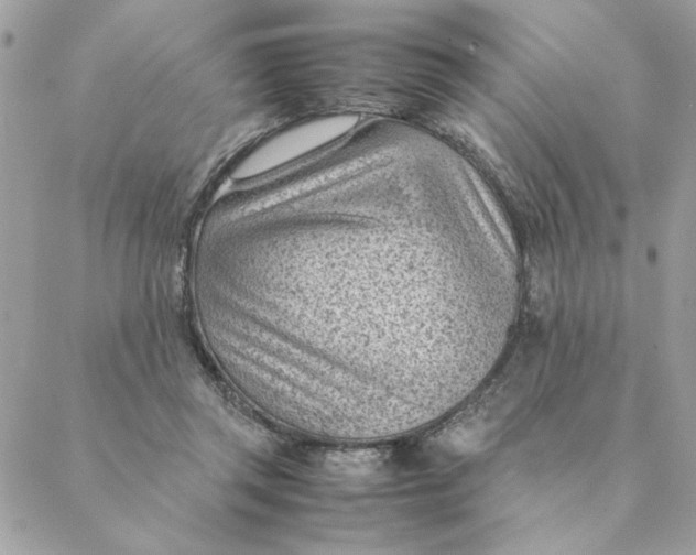 X0000088580357200706151717