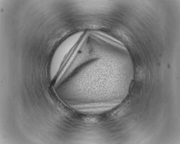 X0000088580358200706151717