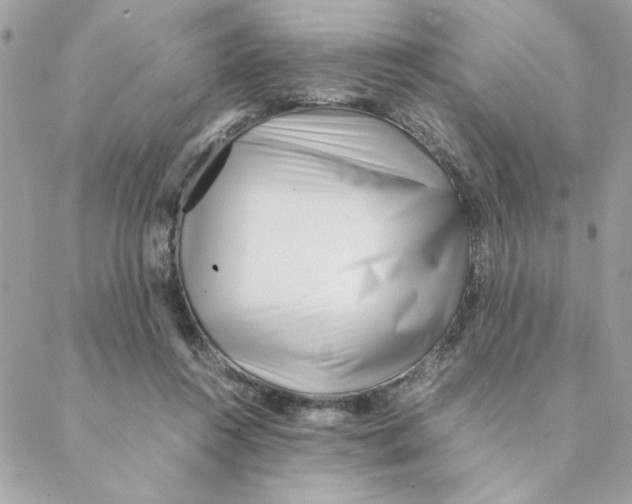 X0000088580360200706151717