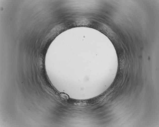 X0000088580362200706151717