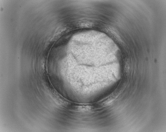 X0000088580363200706151717