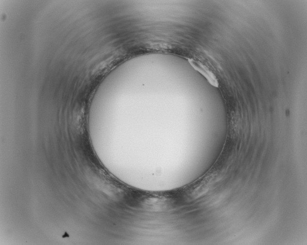 X0000088580364200706151717