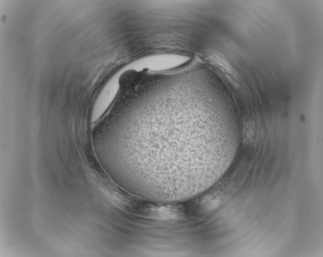 X0000088580365200706151717