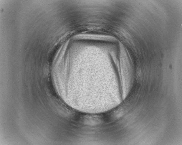 X0000088580367200706151717