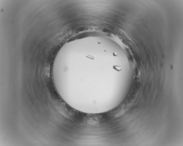 X0000088580368200706151717