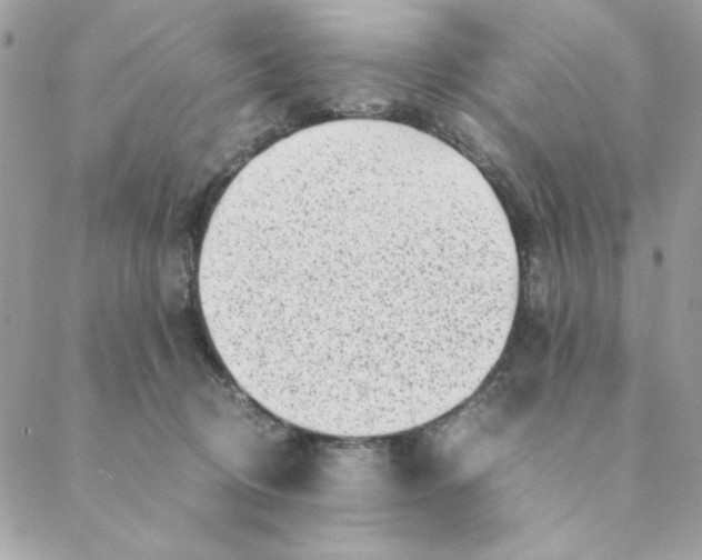 X0000088580370200706151717