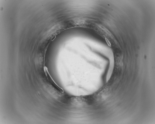 X0000088580372200706151717