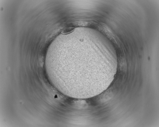 X0000088580374200706151717