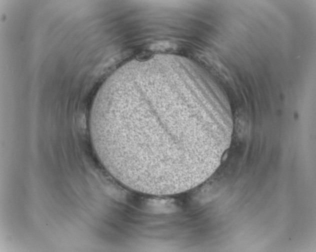 X0000088580375200706151717