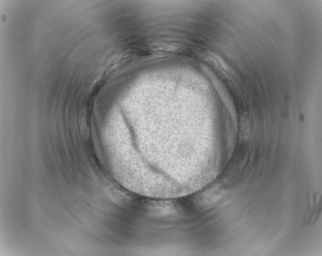 X0000088580377200706151717