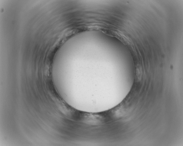 X0000088580379200706151717