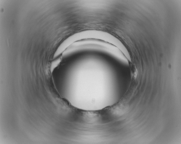 X0000088580380200706151717