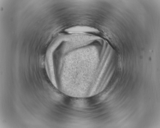 X0000088580383200706151717