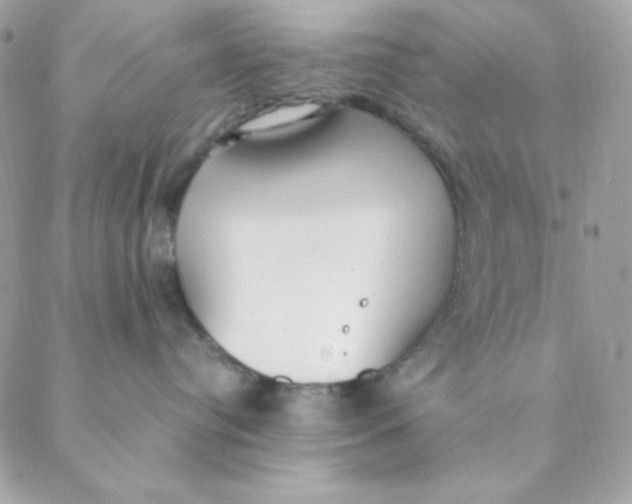 X0000088580384200706151717