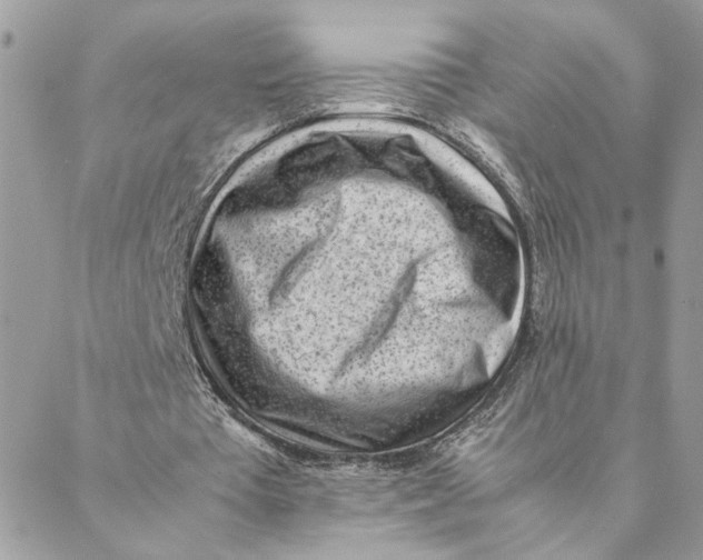 X0000088580385200706151717