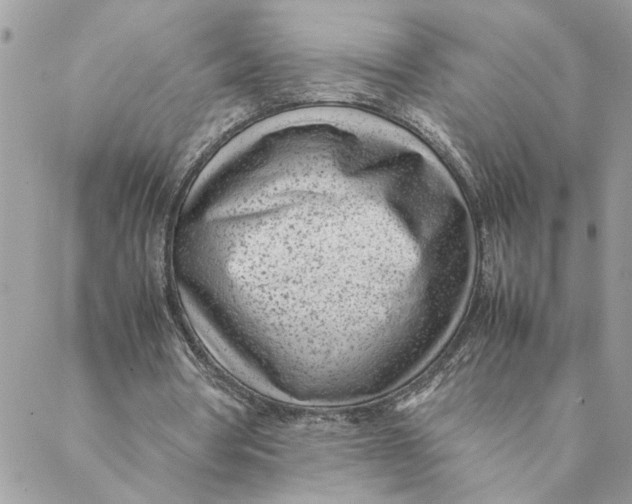 X0000088580386200706151717