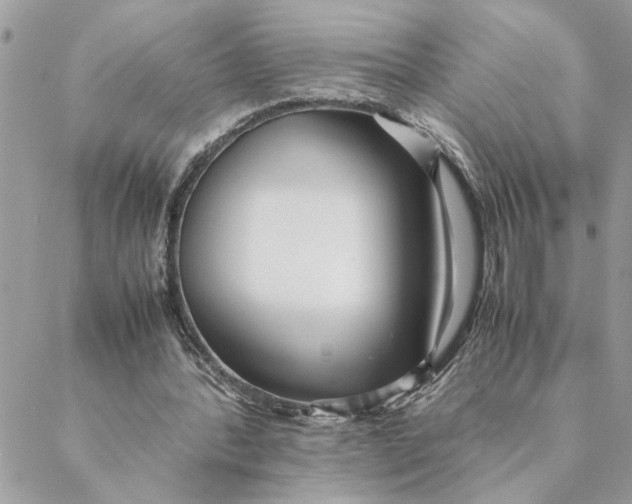 X0000088580388200706151717