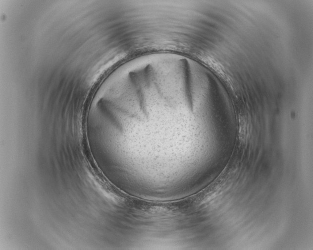 X0000088580390200706151717