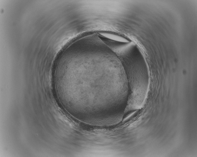 X0000088580391200706151717