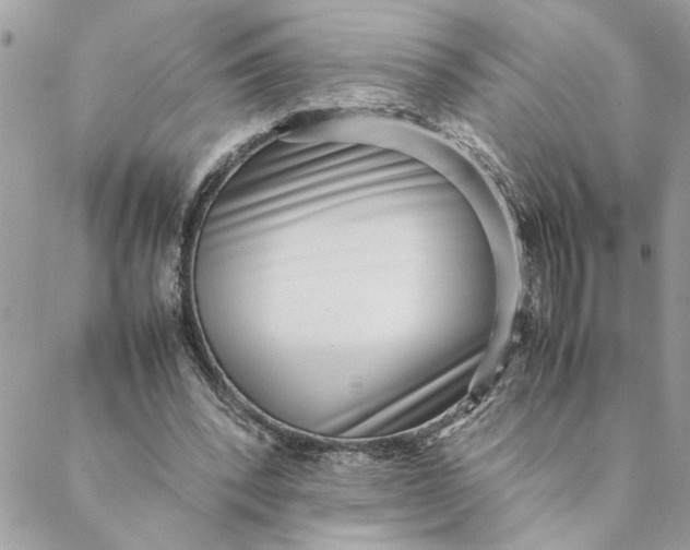 X0000088580392200706151717