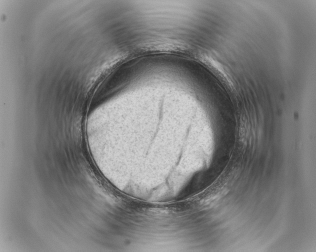 X0000088580394200706151717