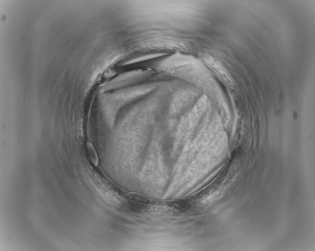 X0000088580399200706151716