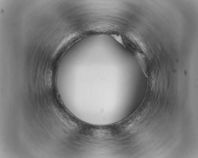 X0000088580400200706151716