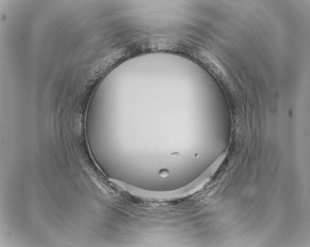 X0000088580401200706151716