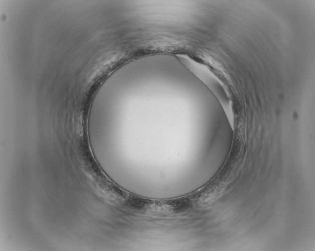 X0000088580403200706151716