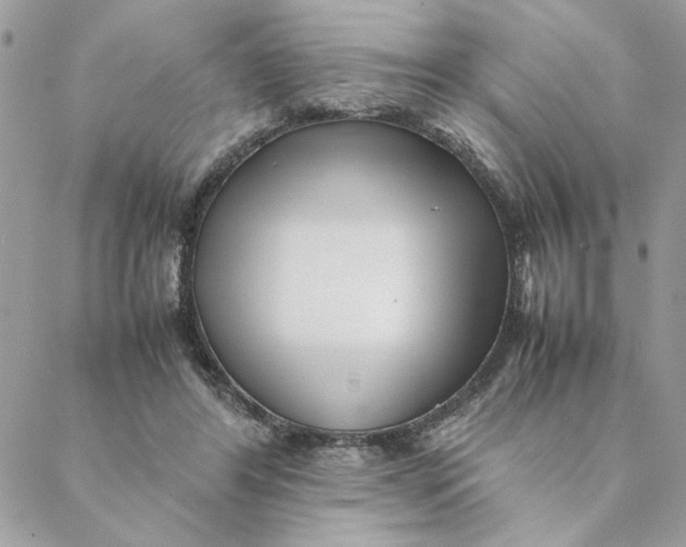 X0000088580404200706151716