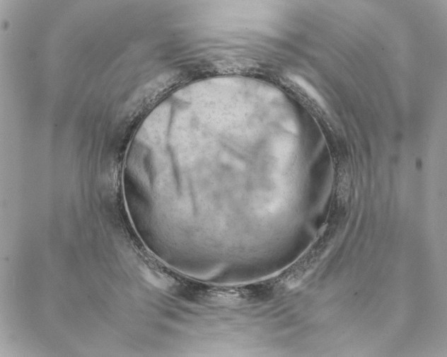 X0000088580405200706151716