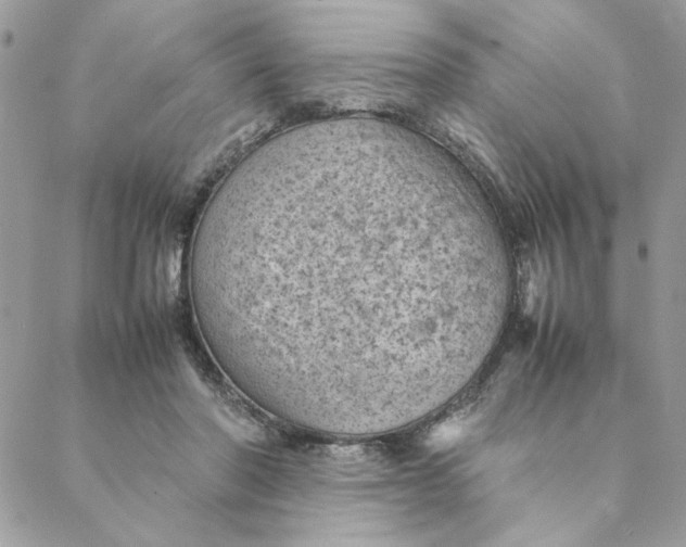 X0000088580406200706151716