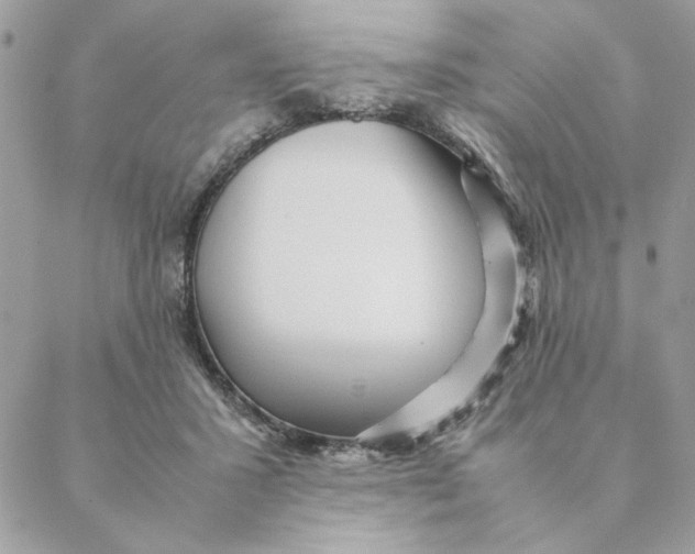 X0000088580407200706151716